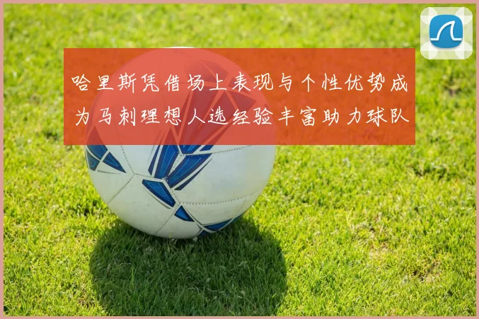 哈里斯凭借场上表现与个性优势成为马刺理想人选经验丰富助力球队发展