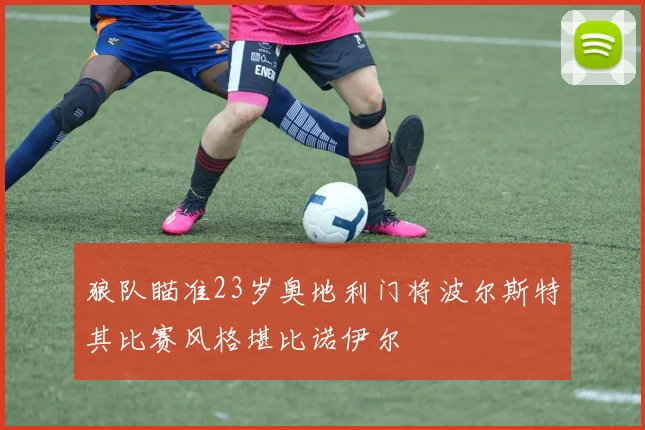 狼队瞄准23岁奥地利门将波尔斯特其比赛风格堪比诺伊尔